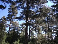 nte Baracca-20100606 038